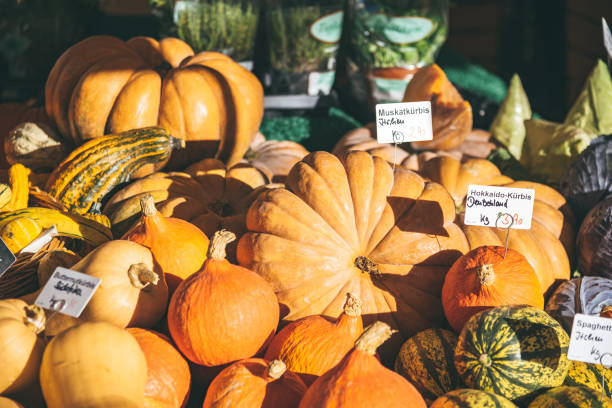 various pumpkins at market stall in Munich