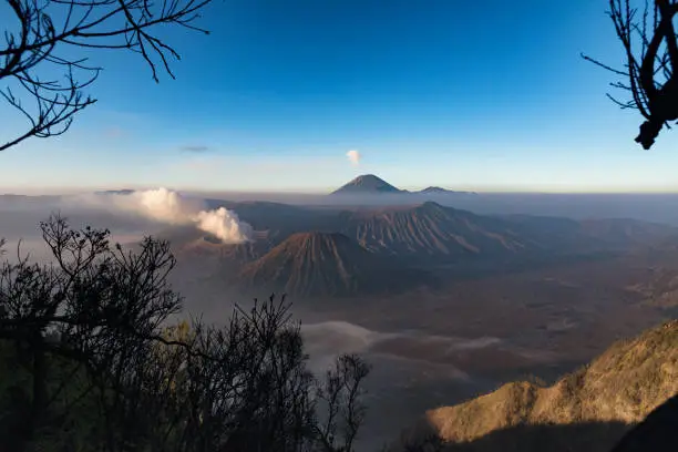 Beautiful view of Bromo in the morning with trees foreground at Kingkong viewpoint in Java, Indonesia.