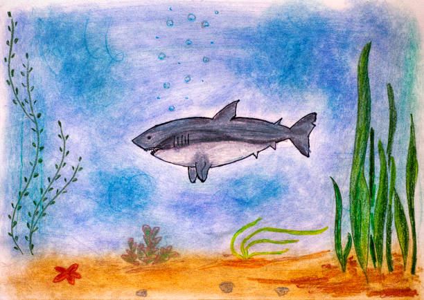 ilustrações, clipart, desenhos animados e ícones de mão de criança lápis de desenho. tubarão no mar. - childs drawing