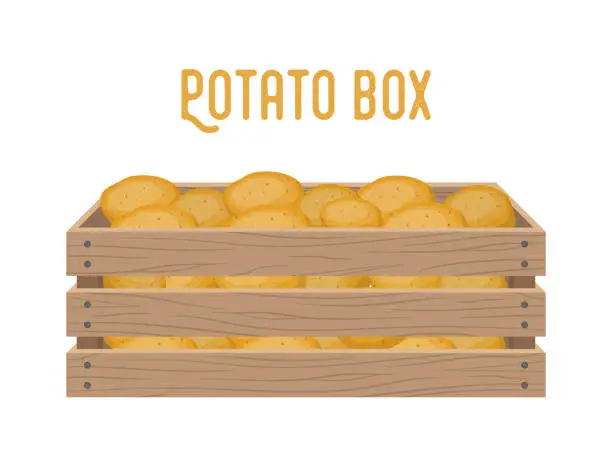 Vector illustration of Vector box with potato, grocery basket with garden products