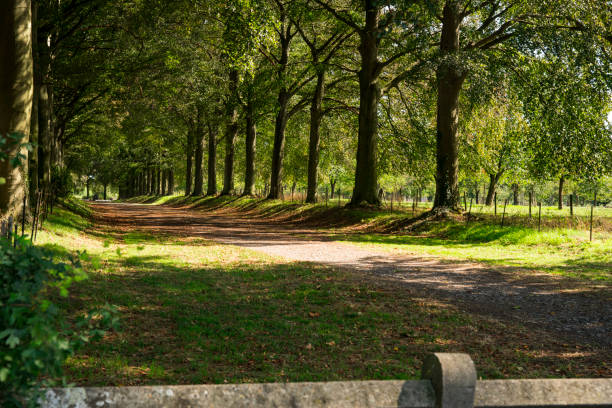 autumn scene in Eijsden, Holland