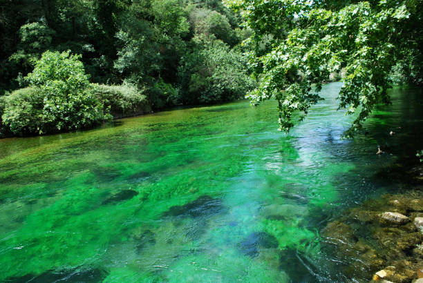 istock Sorgue River in Vaucluse Fountain 1035688848