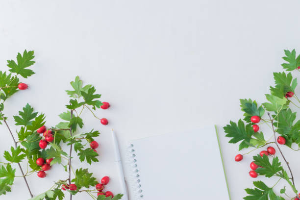 Flat lay desk and branch with red berries