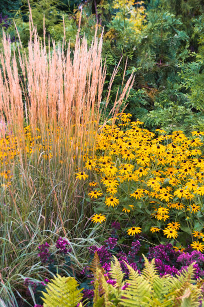 istock flowers in Gothenburg 1035689282