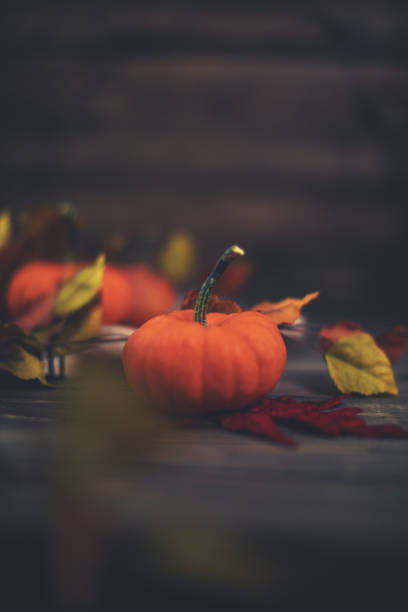 istock Simple Thanksgiving pumpkin background with defocused leaves 1035696266
