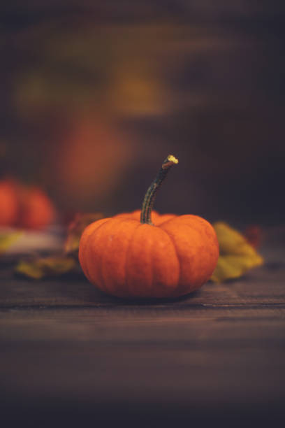 istock Simple Thanksgiving pumpkin background with defocused leaves 1035696306
