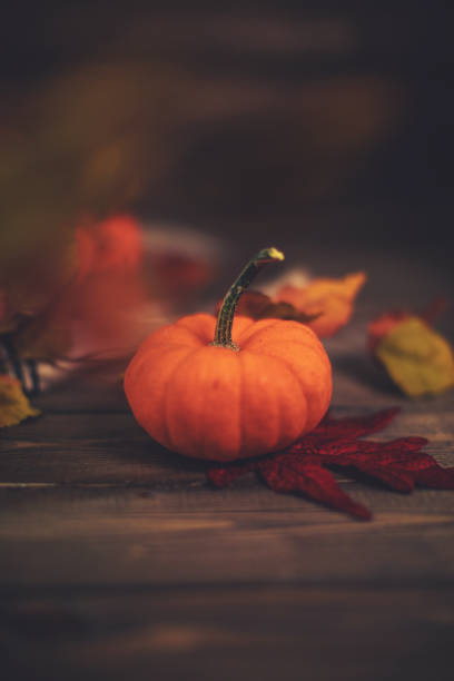 istock Simple Thanksgiving pumpkin background with defocused leaves 1035696312