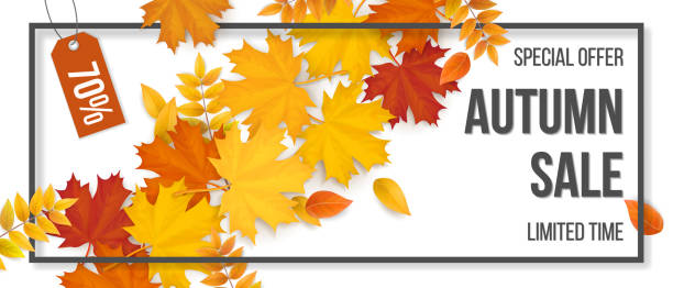 illustrations, cliparts, dessins animés et icônes de vente châssis automne feuilles - autumn leaf falling panoramic