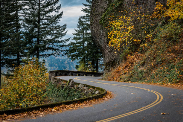 istock Winding road in autumn 1035712084