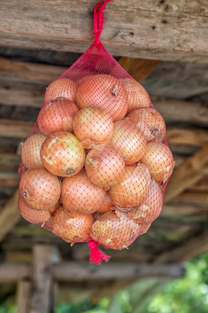 oignon jaune - onion bag netting vegetable photos et images de collection