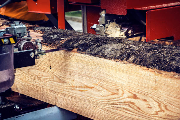 Lumber industry - saw cutting log