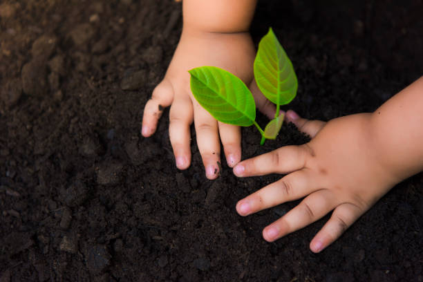istock Trees with money, saving money and growing hands. 1035720442