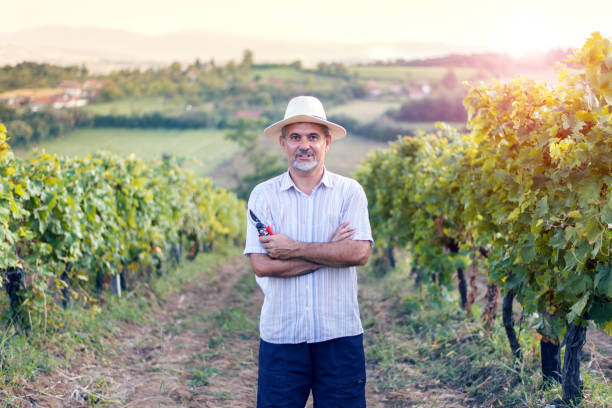 orgoglioso proprietario di un vigneto - winemaking vintner winery people foto e immagini stock