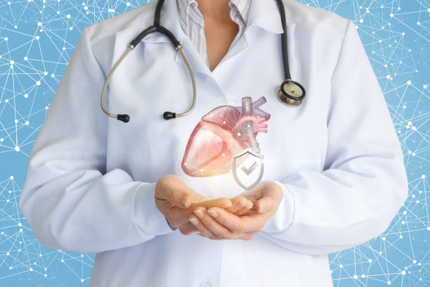 istock Doctor shows protected the human heart . 1035728658