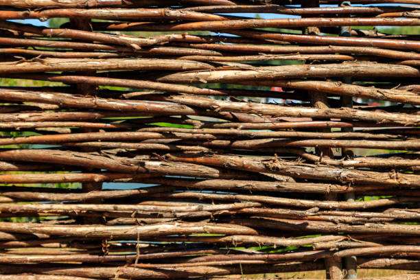 istock Background of the decorative rustic village wicker fence 1035728804
