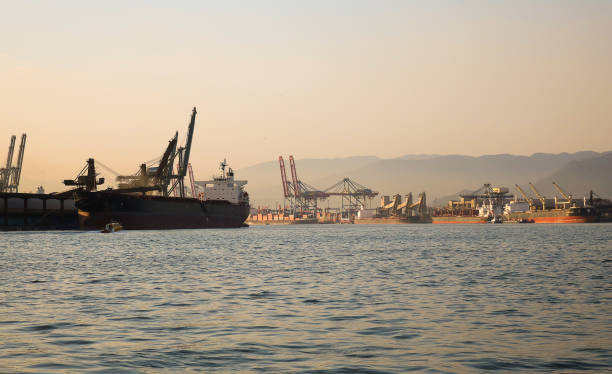 istock Solid bulk ship being loaded at the port of Santos, Brazil - bran 1035739080
