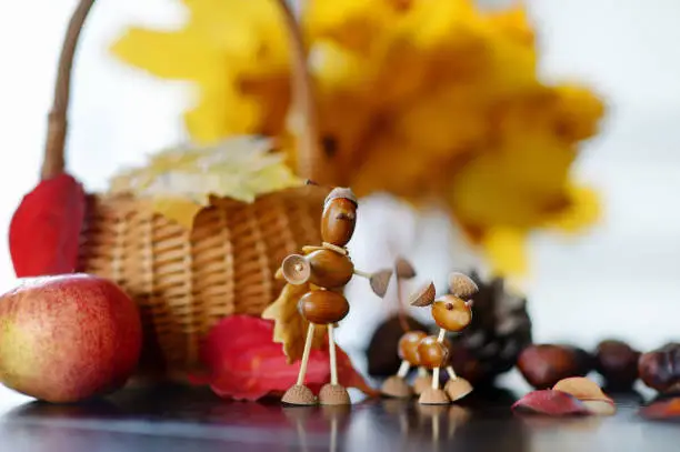 Photo of Creatures made from chestnuts and acorns,