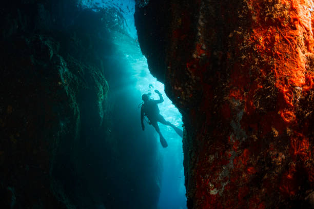 istock Underwater Scuba divers enjoy Explore underwater cave 1035747550