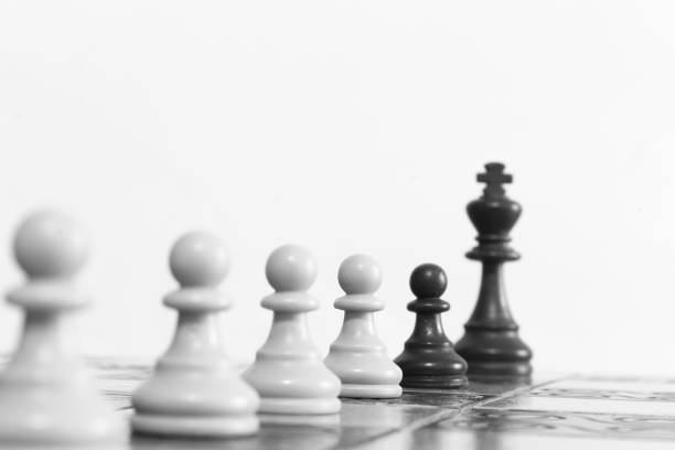 istock Chess photographed on a chessboard 1035748568