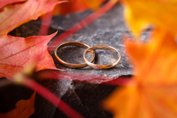 istock Wedding rings with golden autumn leaves 1035752642