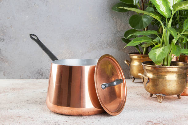 istock Vintage copper casserole and green plants 1035752804