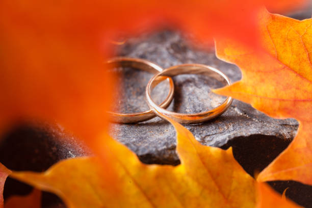 istock Wedding rings with golden autumn leaves 1035755806