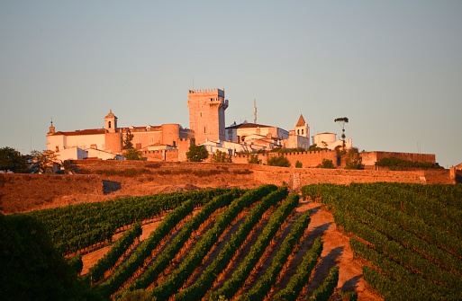 Estremoz, Évora district, Portugal: vineyards and town seen in the last light of the day  - Estremoz is an important stop in the Alentejo wine route