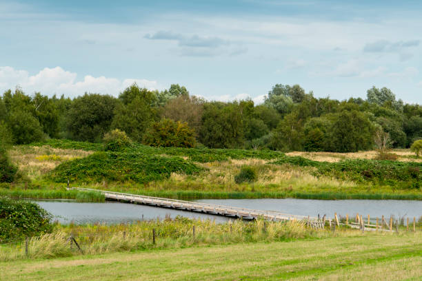 istock wooden bridge in nature park Dintelse Gorzen, The Netherlands 1035756130