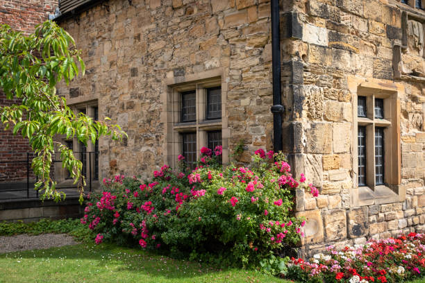 maison traditionnelle en pierre ancienne anglaise avec des parterres de fleurs de géranium coloré et roses roses dans un jardin de devant - ornamental garden europe flower bed old fashioned photos et images de collection