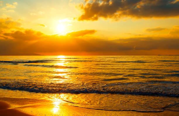istock Colorful dawn with sun through clouds rays over sea and sandy shore. Nature composition. 1035764854