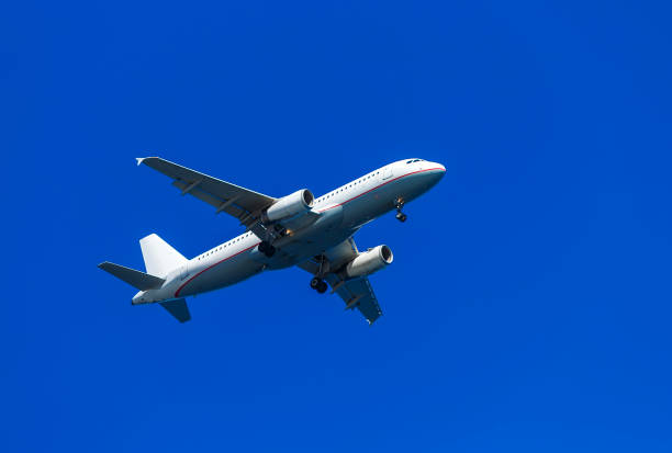istock A white airplane flying in clear pale blue sky. 1035764888