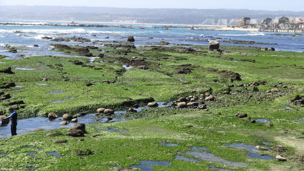 istock Landscape, cliff, seaside and nature 1035769312