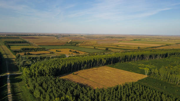 Drone photo of beautiful nature in bio-industrial area Drone image of nature in Central Europe agroforestry stock pictures, royalty-free photos & images