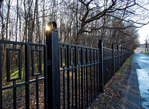istock sunlight through the iron fence in spring 1035772368