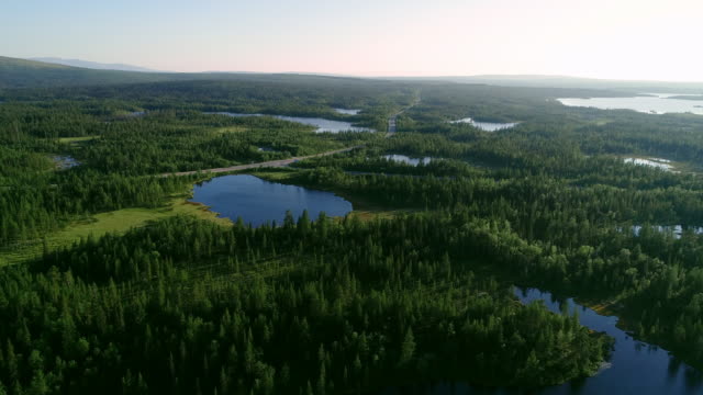 Aerial view of blue lakes and green forests on a sunny summer day in Finland.