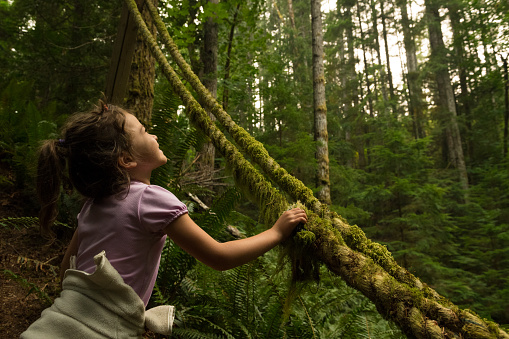 Girl touching moss in a lush forest