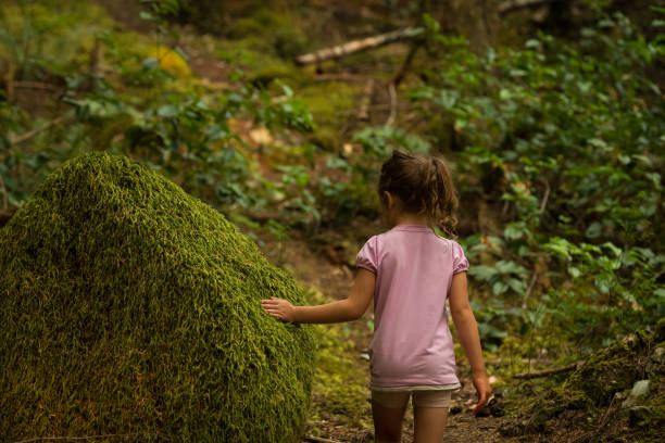Girl touching moss in a lush forest