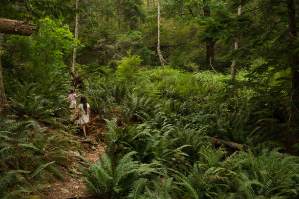 istock Sisters immersed in lush nature 1035777878