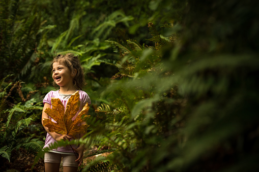 Child playing with a leaf in a lush green coastal forest