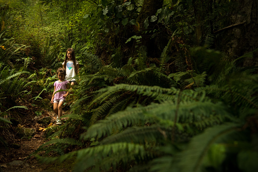 Children playing with leaves in a lush green coastal forest