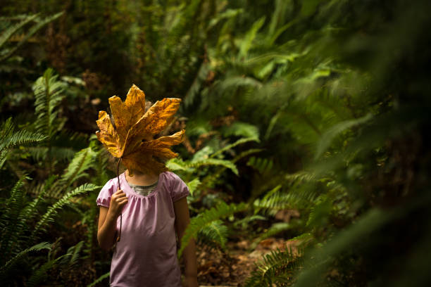 Child playing with a leaf in a lush green coastal forest