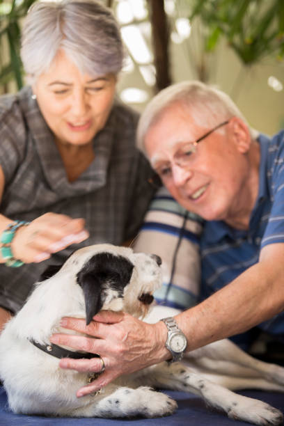 istock Brazilian elderly couple petting a dog. 1035786132