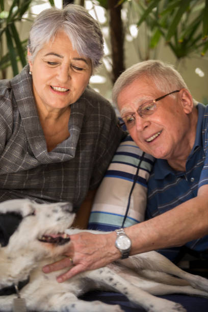 istock Brazilian elderly couple petting a dog. 1035786166