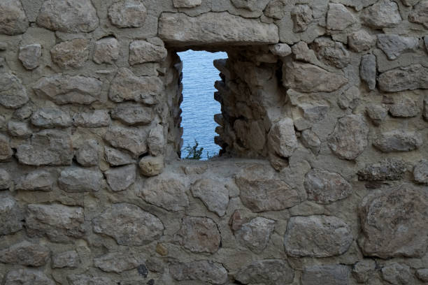 istock Spying on the sea 1035798750