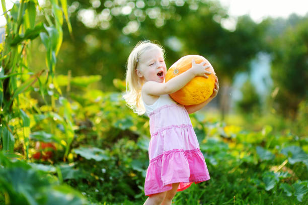 istock Cute little girl holding a pumpkin 1035801620