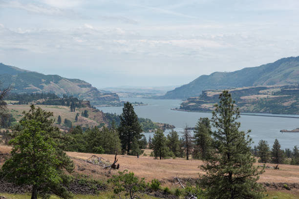 istock Sweeping views of the Columbia River Gorge 1035809264