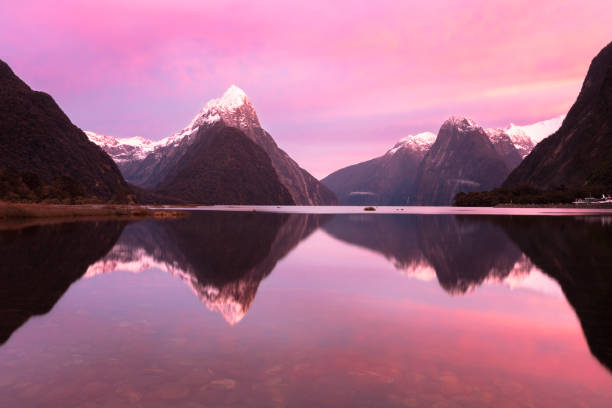 Milford Sound pink winter sunrise, New Zealand The sky turns pink in a colorful winter sunrise at Milford Sound, New Zealand.
Milford Sound is situated in Fiordland National Park, on the south west of New Zealand's South Island. It is known for its shear cliffs rising straight out of the sea. Mitre Peak (centre left) is a famous landmark and rises 5,560 feet (1,690m) from sea level. Milford Sound is known for its heavy rain, up to 10 inches (250 mm) in a day, on this occasion though, it was a fine, still morning. milford sound stock pictures, royalty-free photos & images