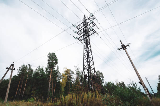 istock High voltage power lines among trees under cloudy sky. Electricity distribution tower in forest with copy space. Minimalist view from below on poles with wires at overcast weather. 1035835296