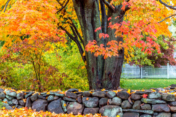istock New England Suburbs in the Autumn 1035845938