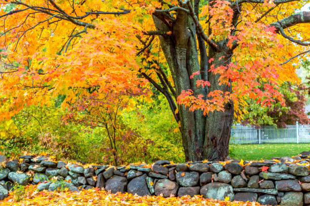 istock New England Suburbs in the Autumn 1035846128
